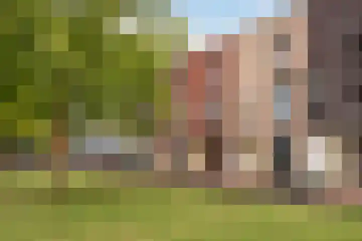 Dirk Schäferplein 155 Schiedam thumbnail 31