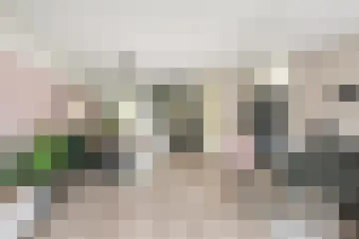 Dirk Schäferplein 155 Schiedam thumbnail 5