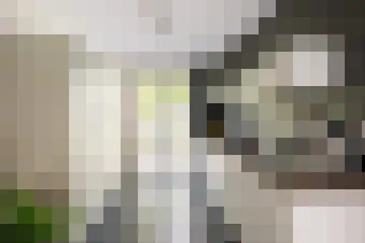 Dirk Schäferplein 155 Schiedam thumbnail 7