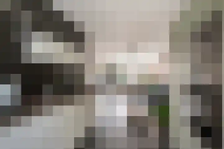 Dirk Schäferplein 155 Schiedam thumbnail 8