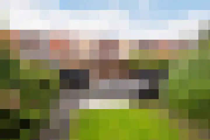 Dirk Schäferplein 155 Schiedam thumbnail 9