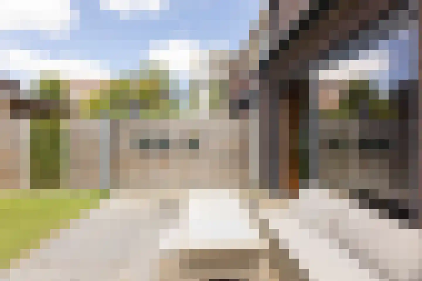 Dirk Schäferplein 159 Schiedam thumbnail 22