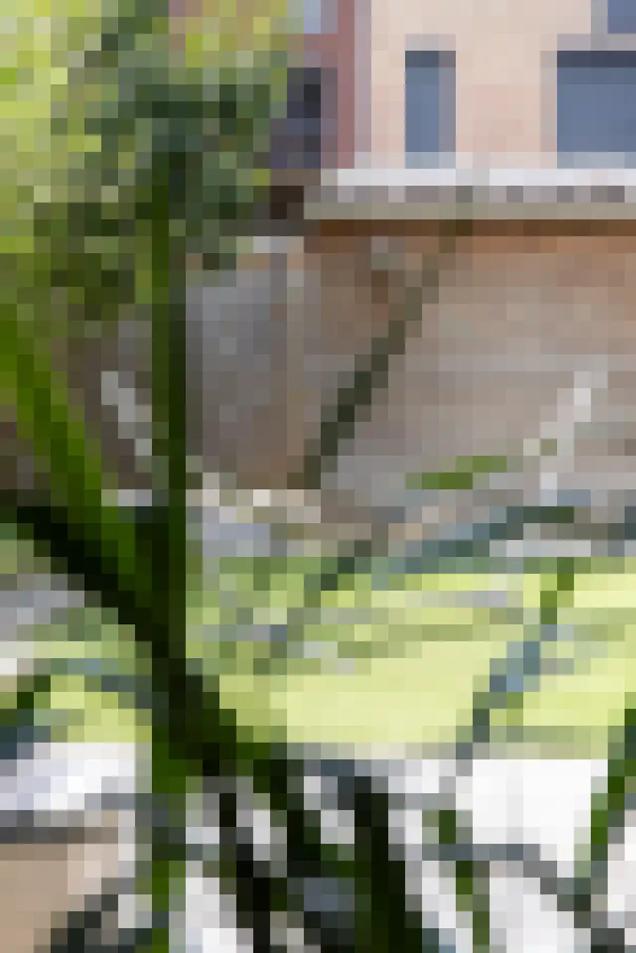 Dirk Schäferplein 159 Schiedam thumbnail 23