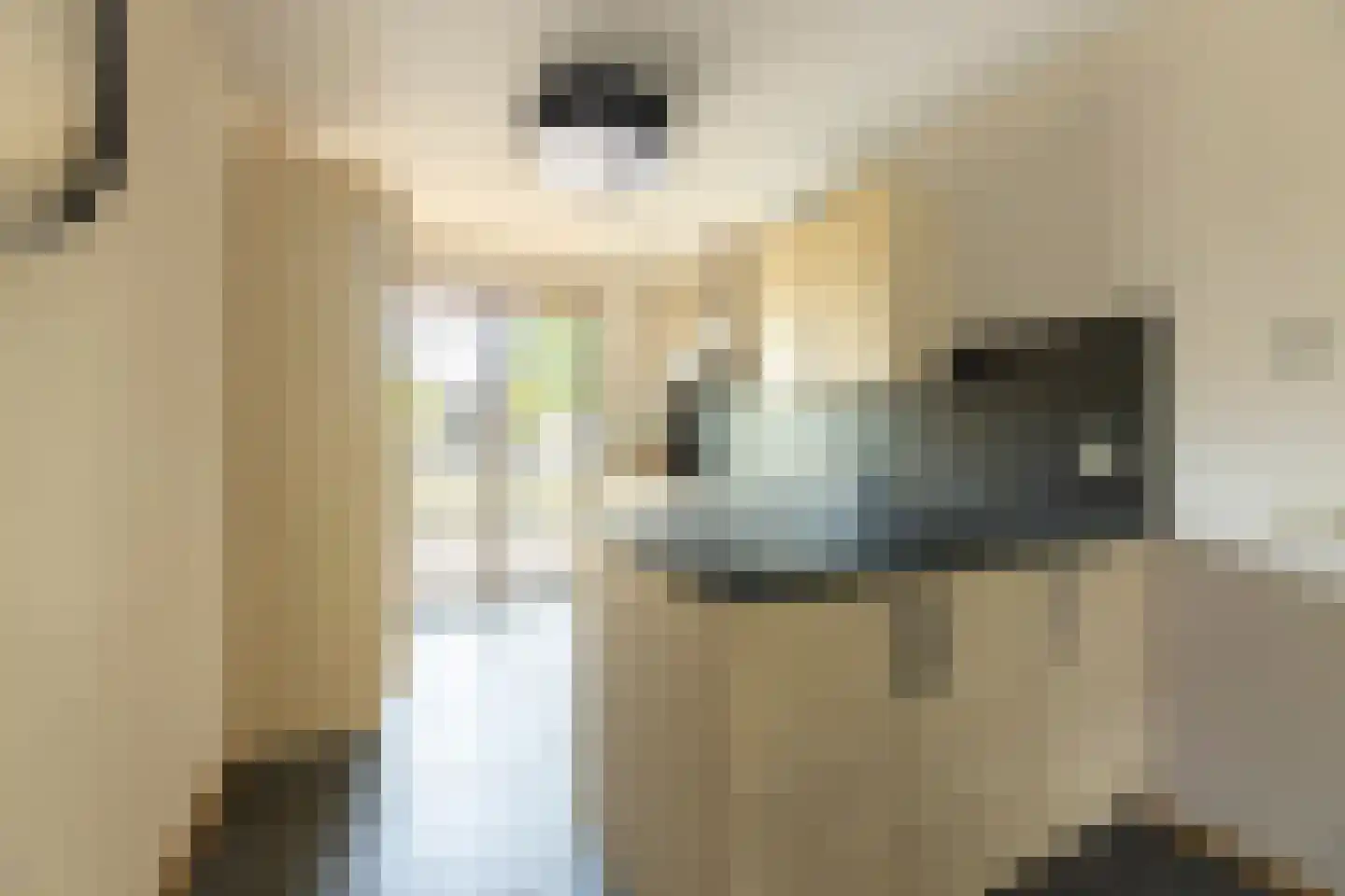 Dirk Schäferplein 159 Schiedam thumbnail 5