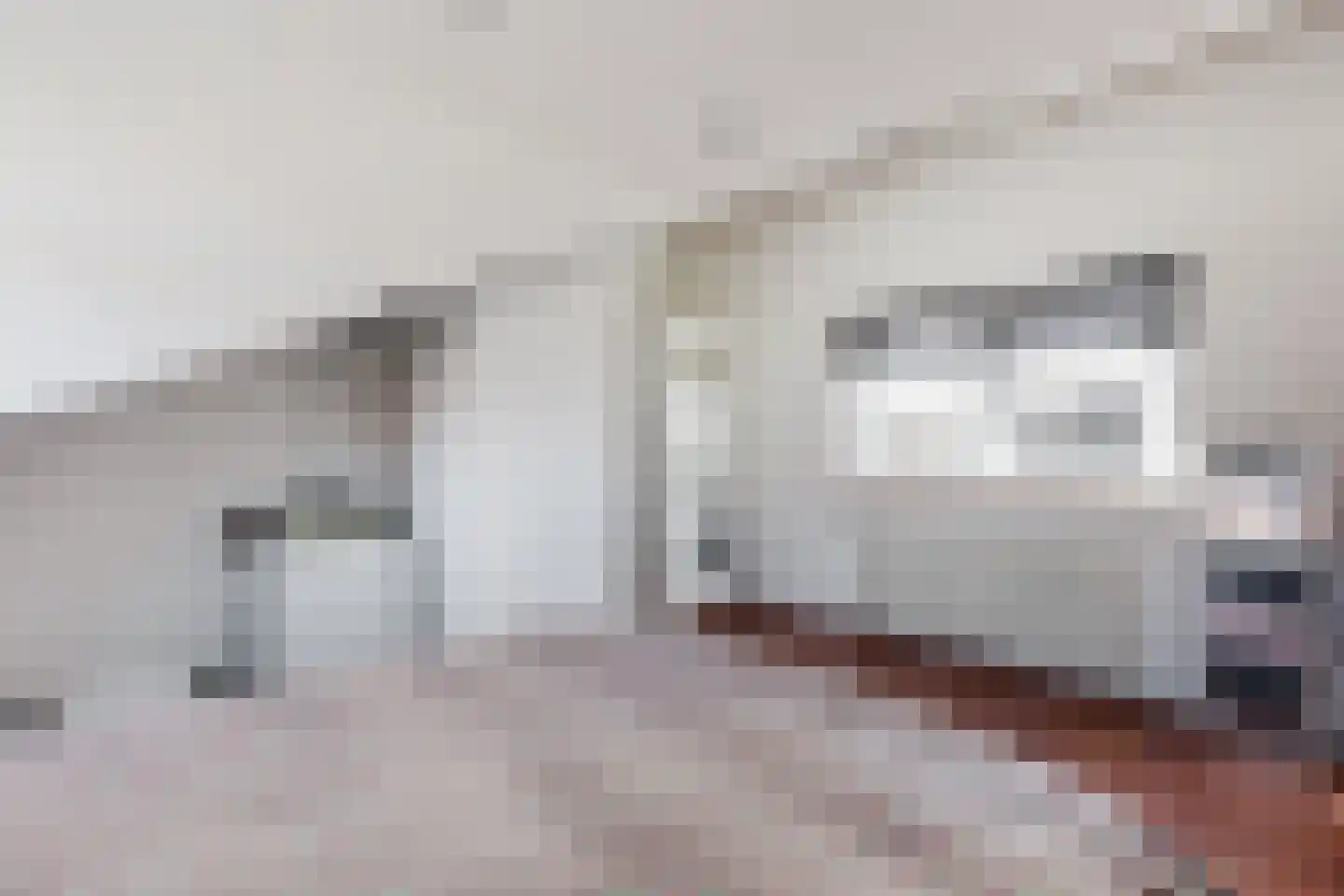Dirk Schäferstraat 14 Haarlem thumbnail 17
