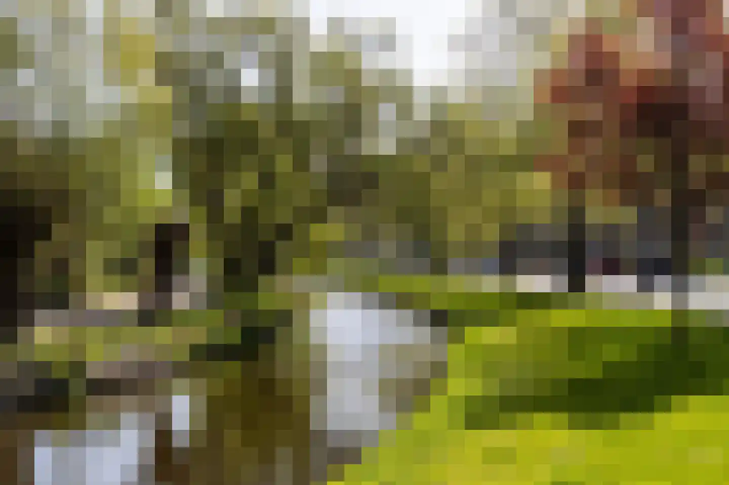 Dirk Schäferstraat 14 Haarlem thumbnail 25