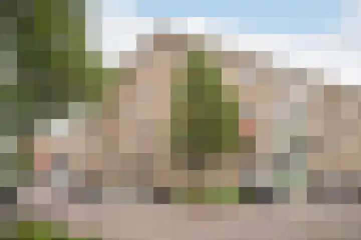 Dirk Schäferstraat 21 D Vlaardingen thumbnail 22