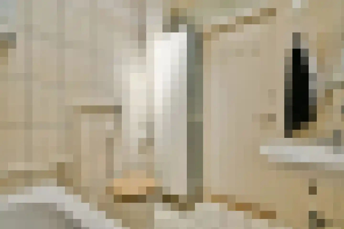 Dirk Schäferstraat 7 2 Amsterdam thumbnail 19