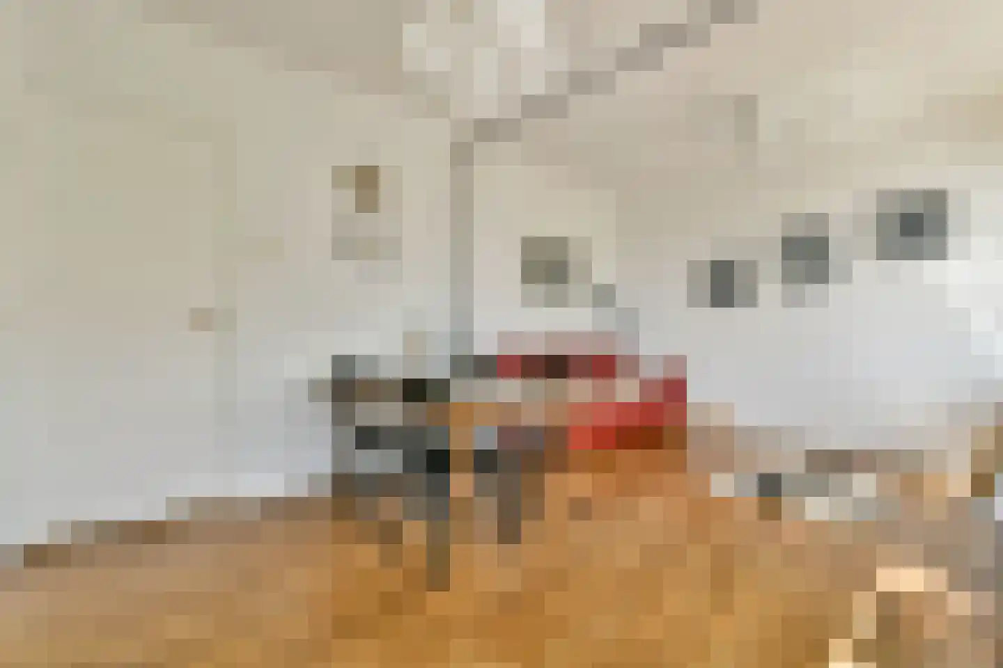 Dirk Schäferstraat 7 2 Amsterdam thumbnail 9