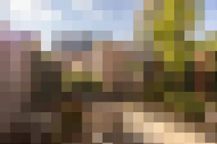 Dirk Smorenberglaan 73 Loosdrecht thumbnail 4
