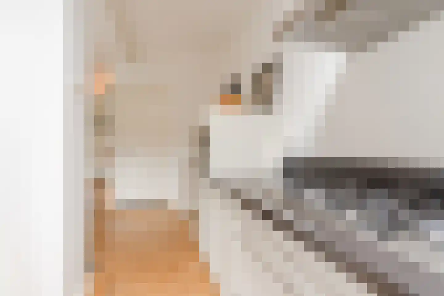 Dirk Staalweg 6 Ermelo thumbnail 17