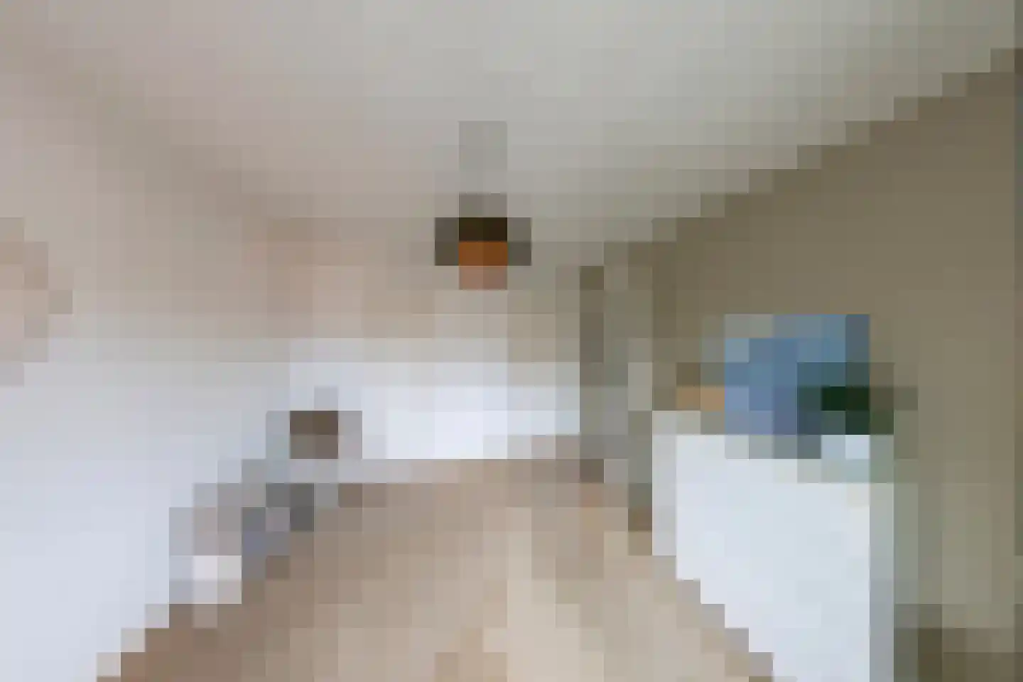 Dirk Staalweg 6 Ermelo thumbnail 24