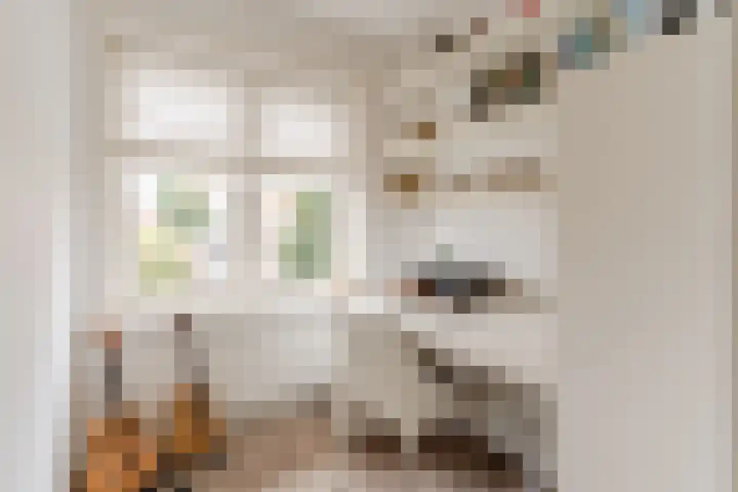 Dirk Staalweg 6 Ermelo thumbnail 28