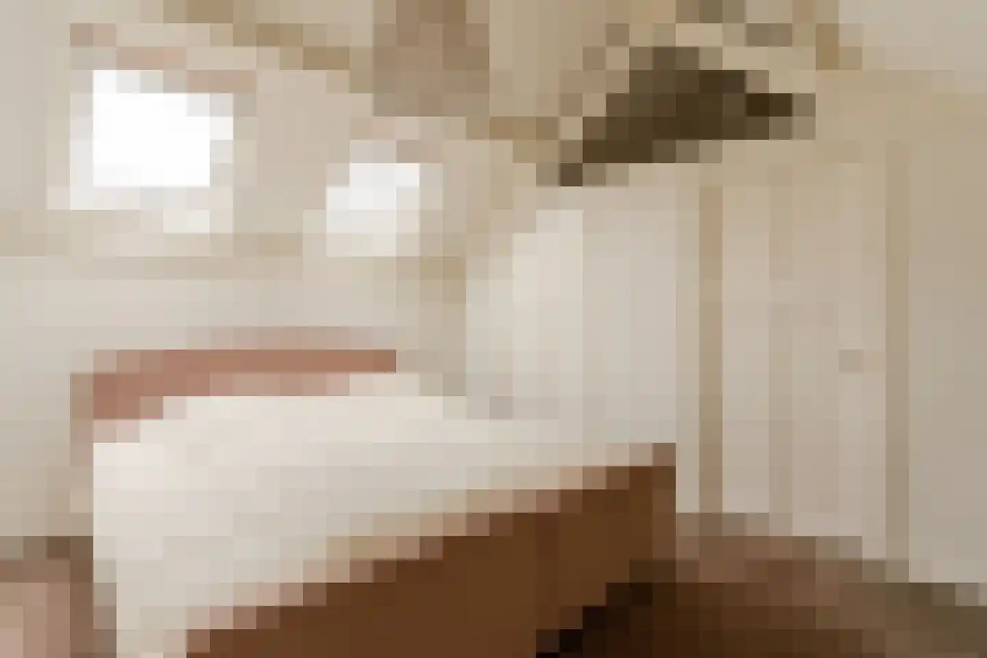 Dirk Staalweg 6 Ermelo thumbnail 31