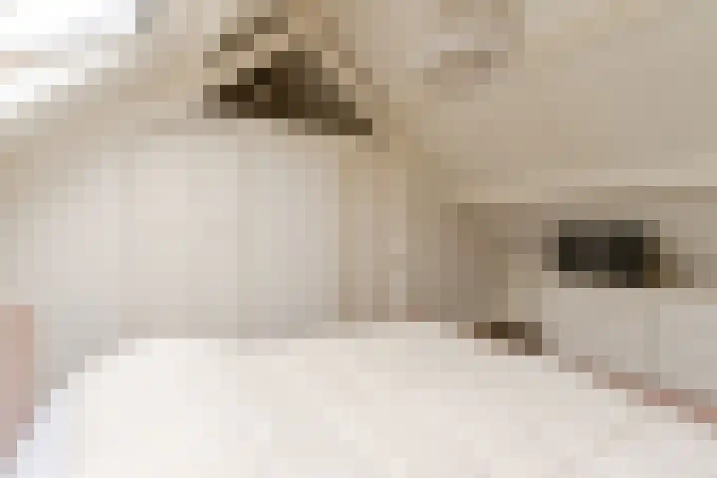 Dirk Staalweg 6 Ermelo thumbnail 32
