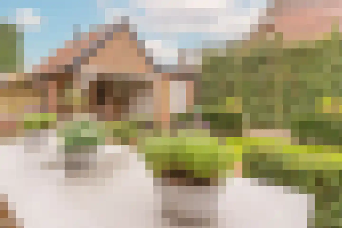 Dirk Staalweg 6 Ermelo thumbnail 6