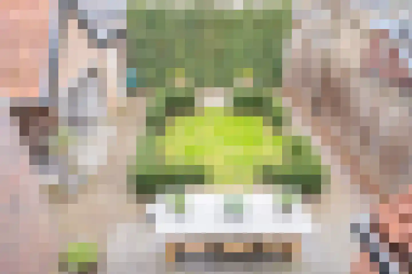 Dirk Staalweg 6 Ermelo thumbnail 7