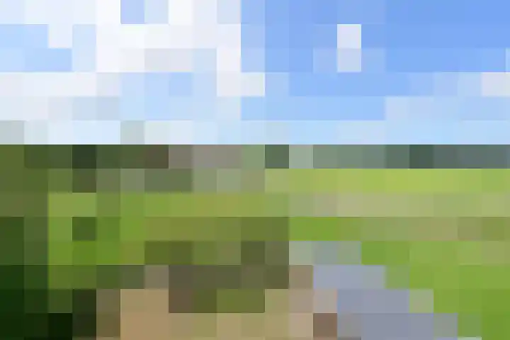 Dirk Tersteeglaan 33 Naarden thumbnail 31