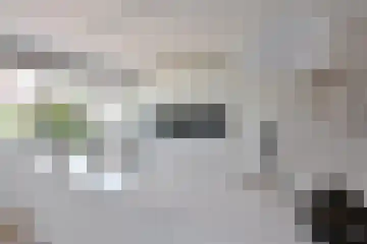 Dirk Tersteeglaan 33 Naarden thumbnail 4