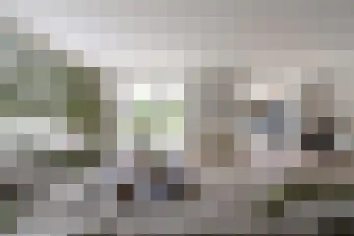 Dirk Tersteeglaan 33 Naarden thumbnail 5