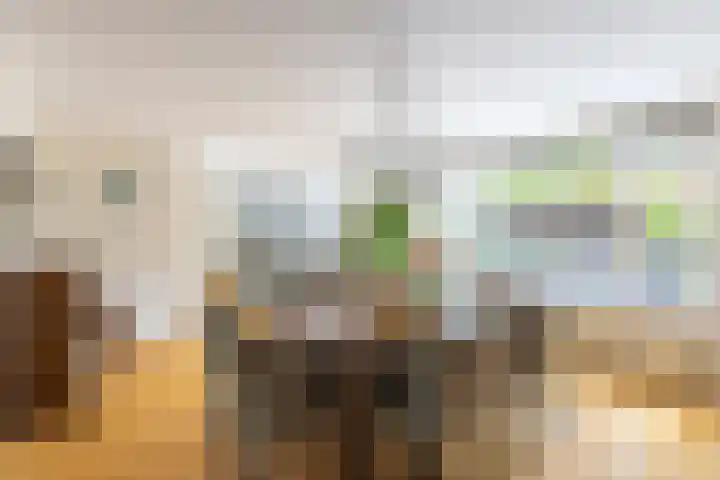 Dirk Tersteeglaan 4 Naarden thumbnail 17