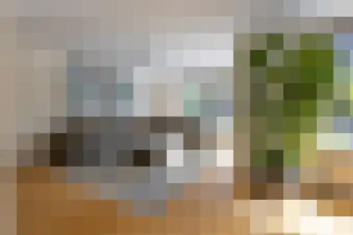 Dirk Tersteeglaan 4 Naarden thumbnail 21