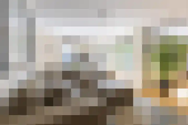 Dirk Tersteeglaan 4 Naarden thumbnail 25