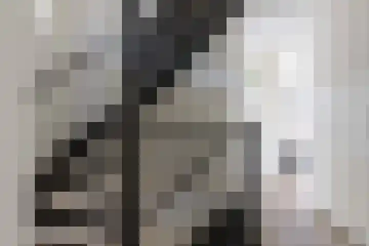 Dirk Tersteeglaan 4 Naarden thumbnail 29