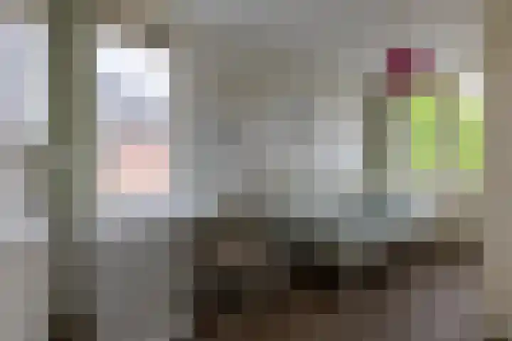 Dirk Tersteeglaan 4 Naarden thumbnail 32