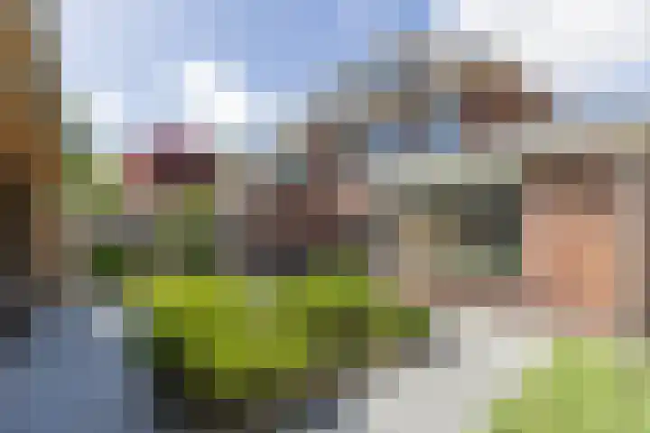 Dirk Tersteeglaan 4 Naarden thumbnail 44