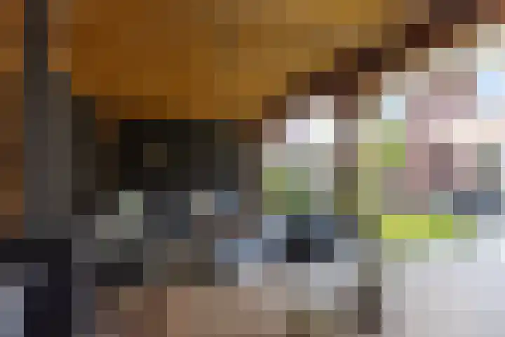 Dirk Tersteeglaan 4 Naarden thumbnail 48