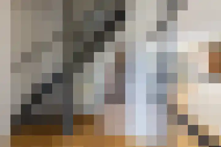 Dirk Tersteeglaan 4 Naarden thumbnail 8