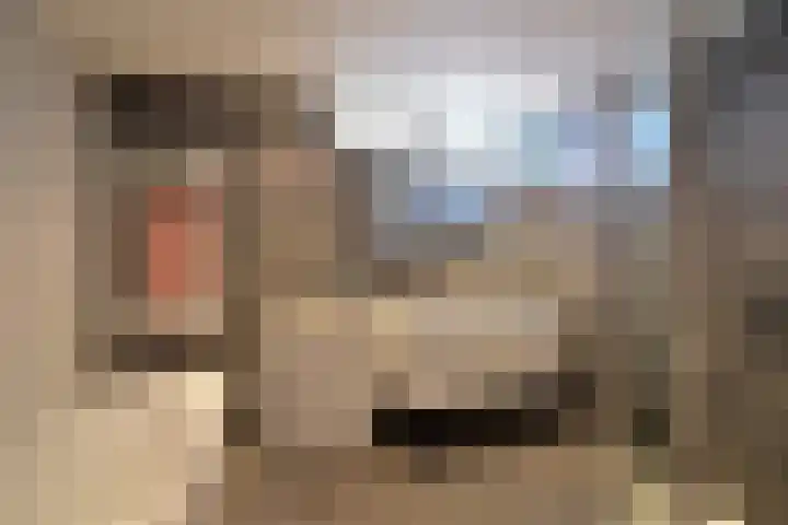 Dirk Tersteeglaan 8 Naarden thumbnail 17