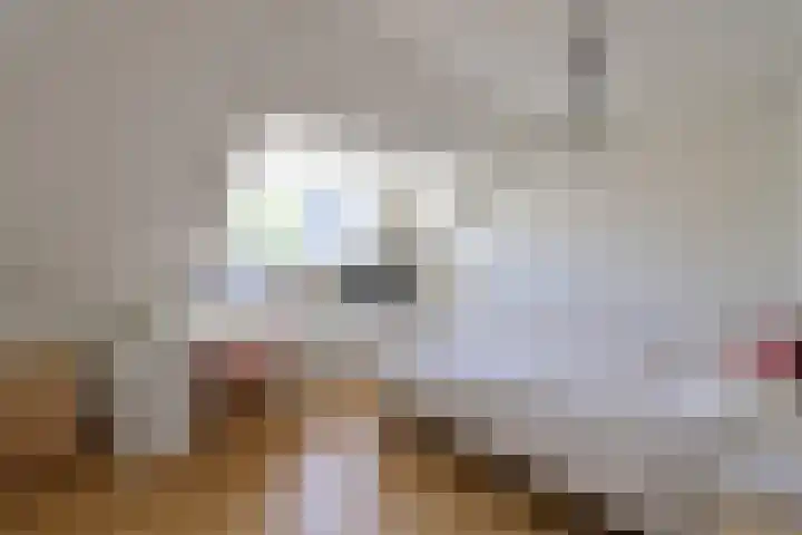 Dirk Tersteeglaan 8 Naarden thumbnail 18