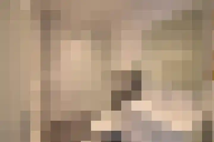 Dirk Tersteeglaan 8 Naarden thumbnail 20