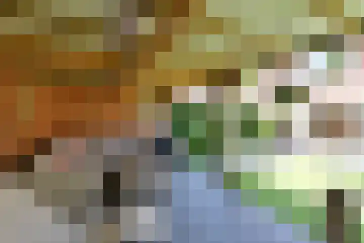 Dirk Tersteeglaan 8 Naarden thumbnail 23