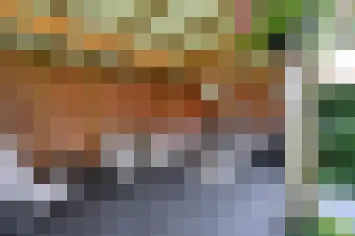Dirk Tersteeglaan 8 Naarden thumbnail 24