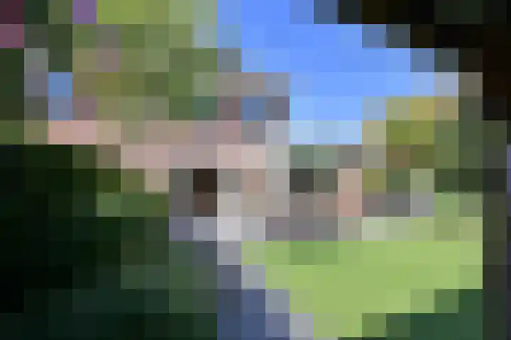 Dirk Tersteeglaan 8 Naarden thumbnail 25