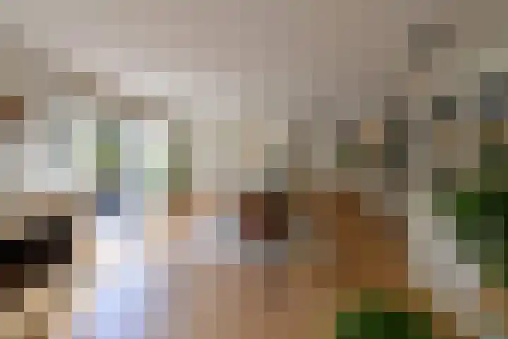 Dirk Tersteeglaan 8 Naarden thumbnail 5