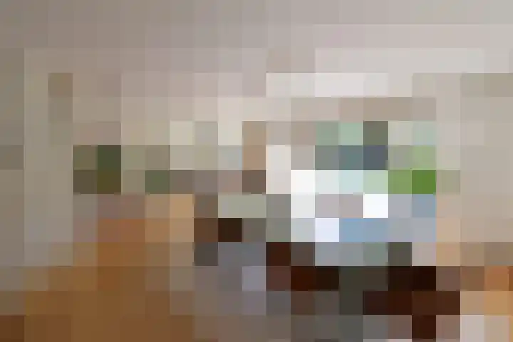 Dirk Tersteeglaan 8 Naarden thumbnail 6