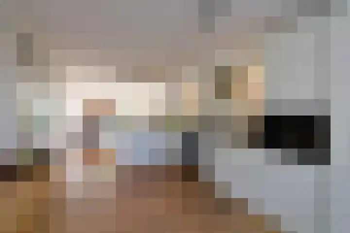 Dirk Tersteeglaan 8 Naarden thumbnail 8