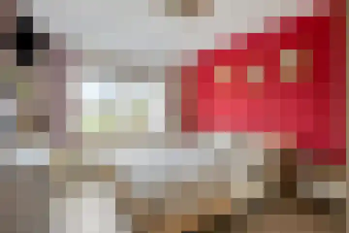 Dirk Thomaszstraat 11 Oud Ade thumbnail 11