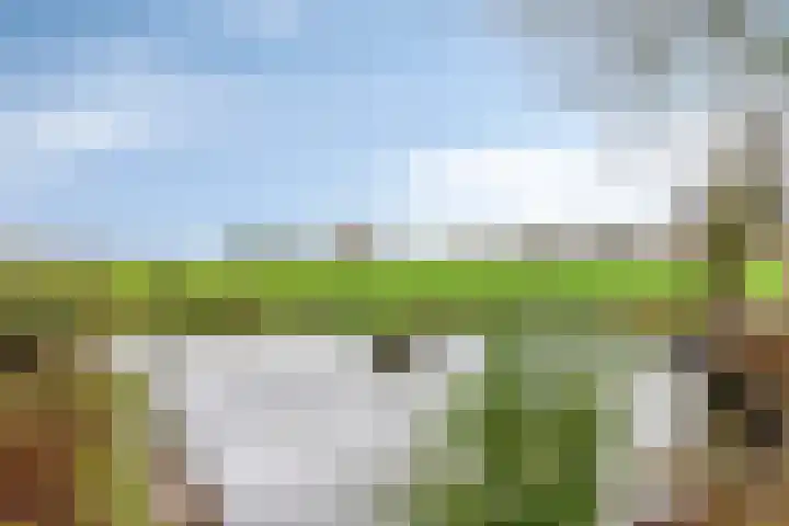 Dirk Thomaszstraat 11 Oud Ade thumbnail 20