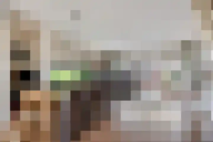 Dirk Thomaszstraat 11 Oud Ade thumbnail 4