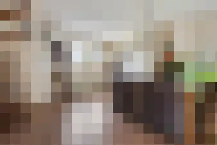 Dirk Thomaszstraat 11 Oud Ade thumbnail 7