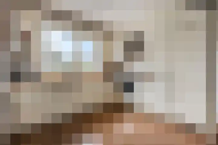Dirk Thomaszstraat 11 Oud Ade thumbnail 8