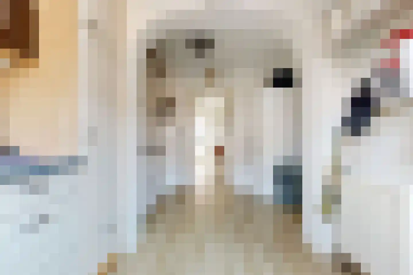 Dirk Thomaszstraat 3 Oud Ade thumbnail 11