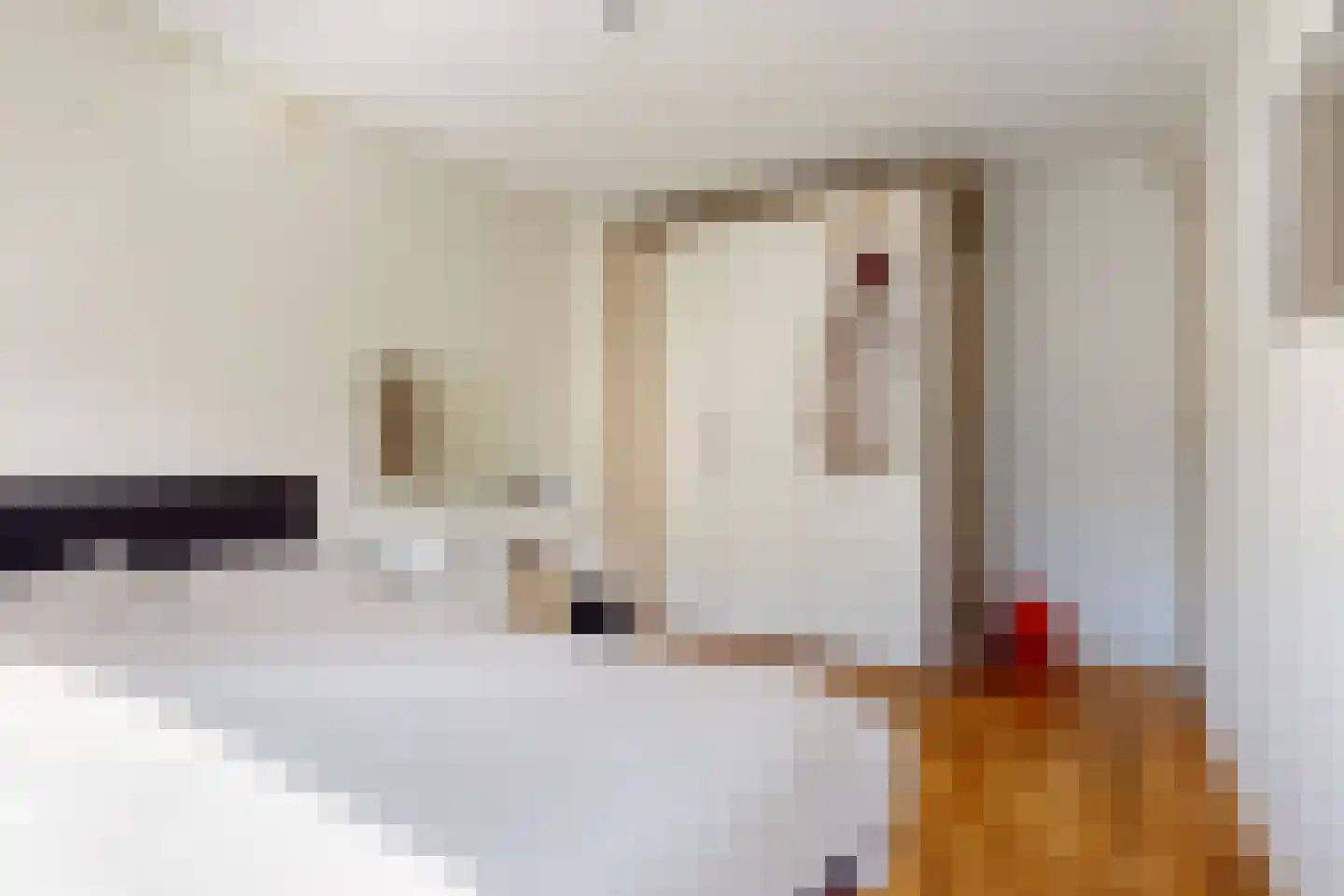 Dirk Thomaszstraat 3 Oud Ade thumbnail 14