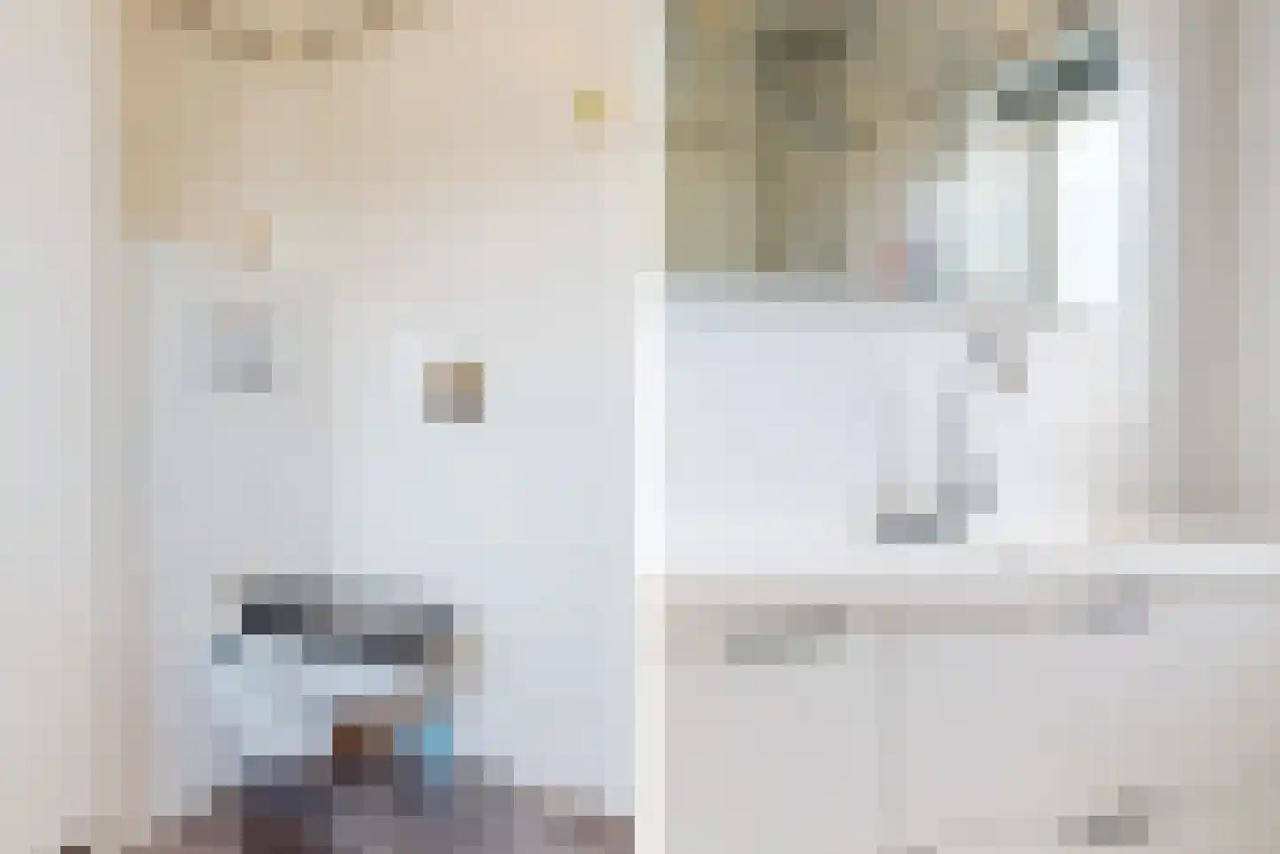 Dirk Thomaszstraat 3 Oud Ade thumbnail 19