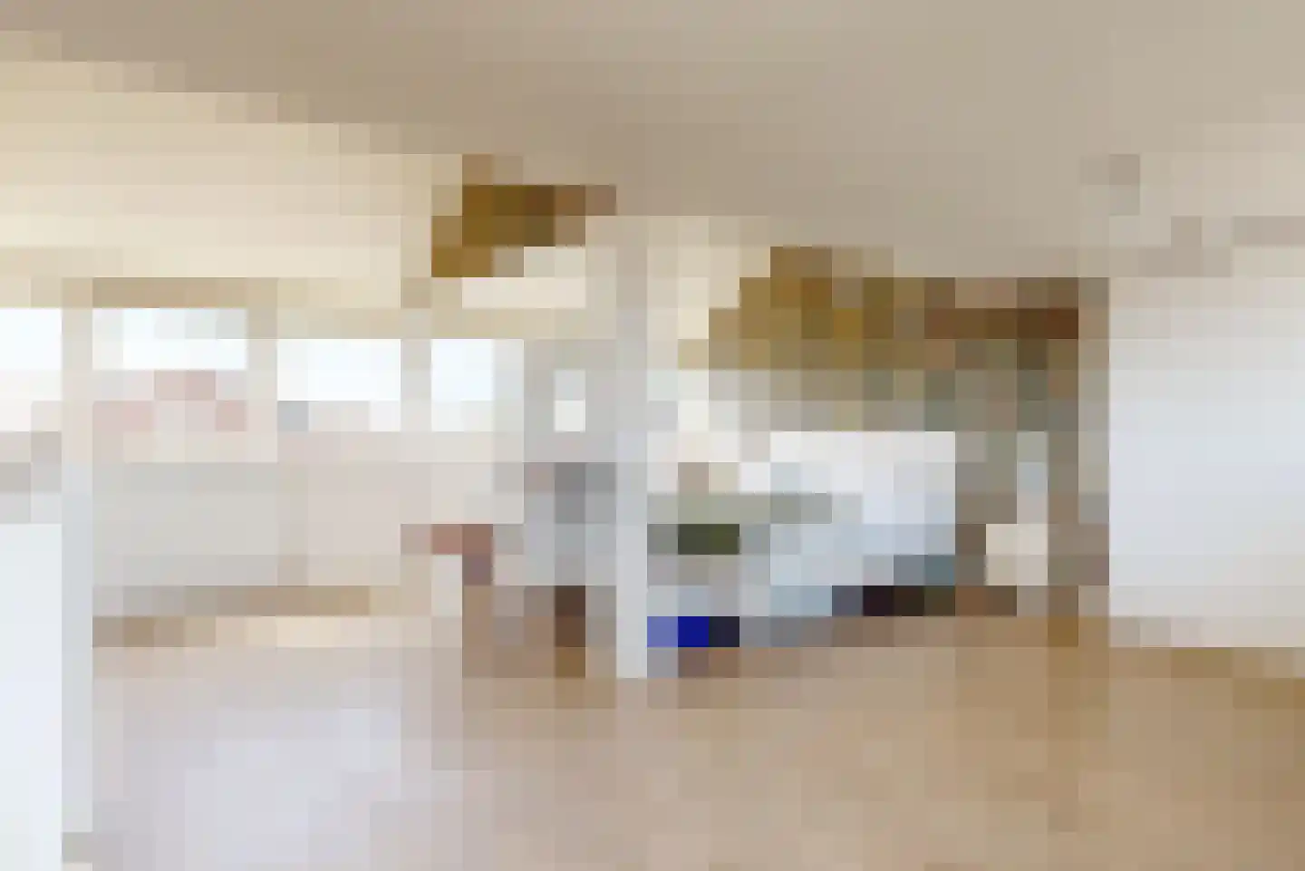 Dirk Thomaszstraat 3 Oud Ade thumbnail 22